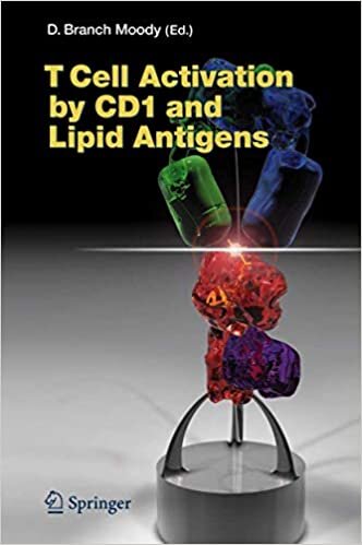 T Cell Activation by CD1 and Lipid Antigens (Current Topics in Microbiology and Immunology, Band 314)