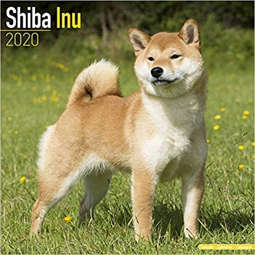ダウンロード  Shiba Inu Calendar 2020 本