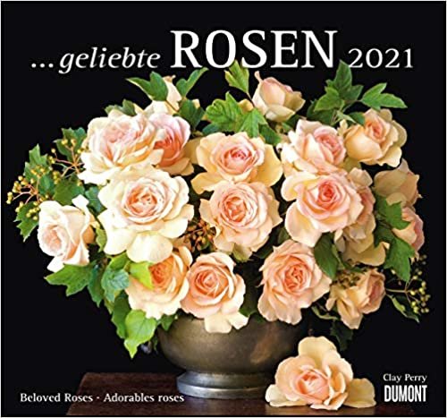 ... geliebte Rosen 2021 – DUMONT Wandkalender – mit allen wichtigen Feiertagen – Format 38,0 x 35,5 cm indir