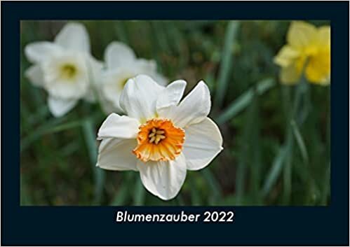 ダウンロード  Blumenzauber 2022 Fotokalender DIN A5: Monatskalender mit Bild-Motiven aus Fauna und Flora, Natur, Blumen und Pflanzen 本