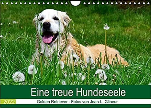 ダウンロード  Eine treue Hundeseele - Golden Retriever (Wandkalender 2022 DIN A4 quer): Der ideale Familienhund (Monatskalender, 14 Seiten ) 本