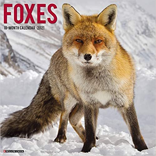 Foxes 2021 Calendar