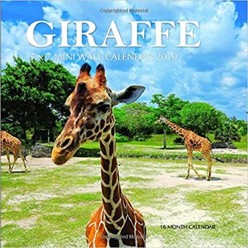 Giraffe 7 x 7 Mini Wall Calendar 2019: 16 Month Calendar indir