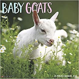 Baby Goats 2020 Calendar