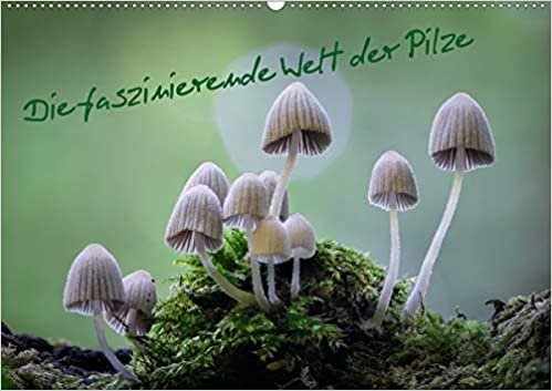 ダウンロード  Die faszinierende Welt der Pilze (Wandkalender 2021 DIN A2 quer): Einzigartige Makroaufnahmen von Pilzen (Monatskalender, 14 Seiten ) 本