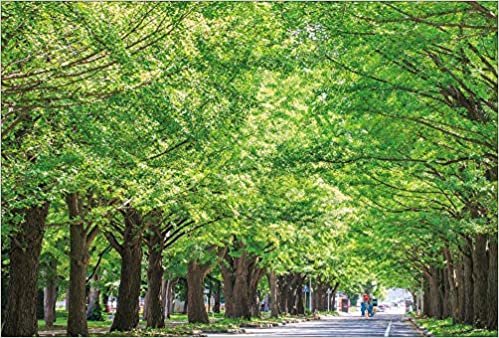 ダウンロード  【Amazon.co.jp 限定】北海道大学 新緑の銀杏並木 ポストカード3枚セット P3-157 本
