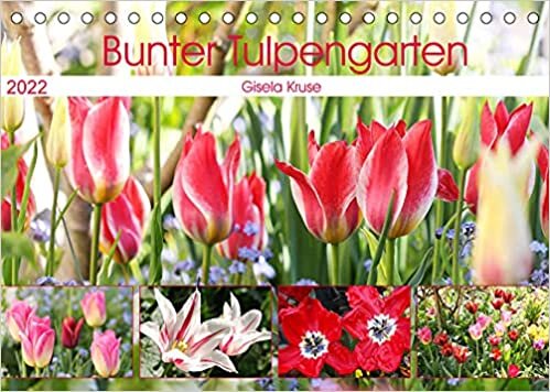 Bunter Tulpengarten (Tischkalender 2022 DIN A5 quer): Tulpen verspruehen ein Farbenfeuerwerk (Monatskalender, 14 Seiten )