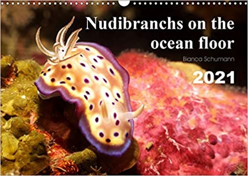 ダウンロード  Nudibranchs on the ocean floor (Wall Calendar 2021 DIN A3 Landscape): There are many different nudibranchs in tropical seas. (Monthly calendar, 14 pages ) 本