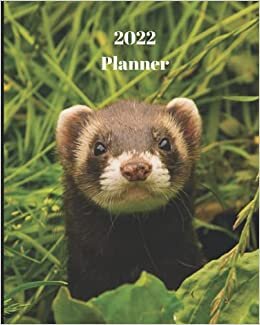 2022 Planner: Ferret-12 Month Weekly and Monthly Calendar Monthly Calendar with U.S./UK/ Canadian/Christian/Jewish/Muslim Holidays– Calendar in Review/Notes 8 x 10 in.- Animals Wildlife indir