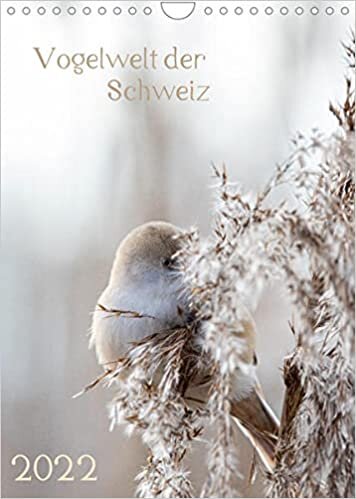 ダウンロード  Vogelwelt der Schweiz (Wandkalender 2022 DIN A4 hoch): Einige der schoensten Voegel der Schweiz (Monatskalender, 14 Seiten ) 本