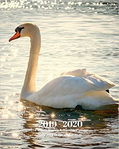 indir 2019 - 2020 | 18 Month Weekly &amp; Monthly Planner July 2019 to December 2020: White Swan Bird Animal Nature Vol 36 Monthly Calendar with U.S./UK/ ... Holidays– Calendar in Review/Notes 8 x 10 in.