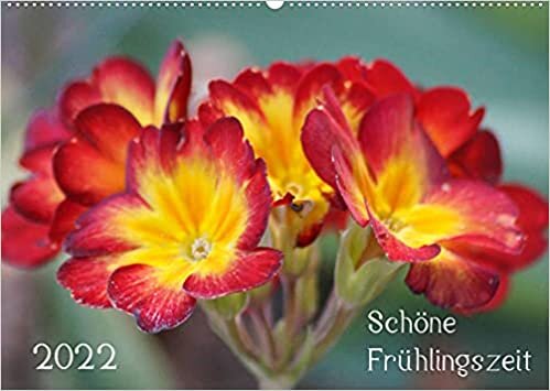 Schoene Fruehlingszeit (Wandkalender 2022 DIN A2 quer): Mit Fruehlingsblueten durch das Jahr! (Monatskalender, 14 Seiten )