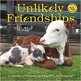 ダウンロード  Unlikely Friendships 2020 Calendar 本