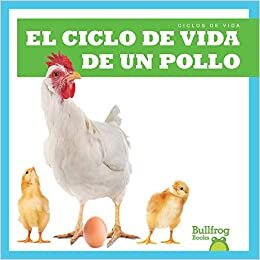 تحميل El Ciclo de Vida de Un Pollo (a Chicken&#39;s Life Cycle)