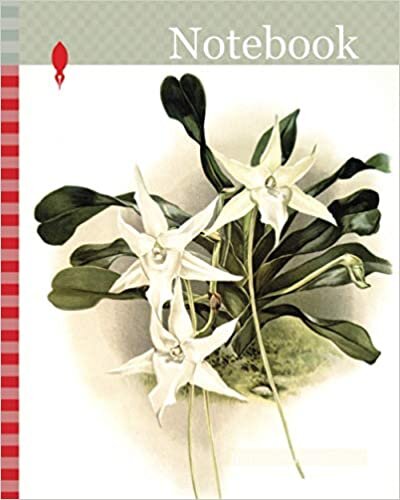 indir Notebook: Orchid, Aeranthus sesquipedalis, Sander, F. (Frederick), 1847-1920, Mansell, Joseph, Lithographer, Moon, H. G