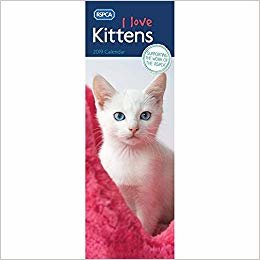 indir Kittens, I Love, RSPCA S 2019