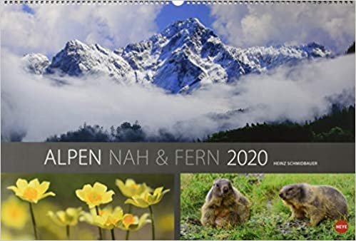 Schmidbauer, H: Alpen nah und fern 2020 indir