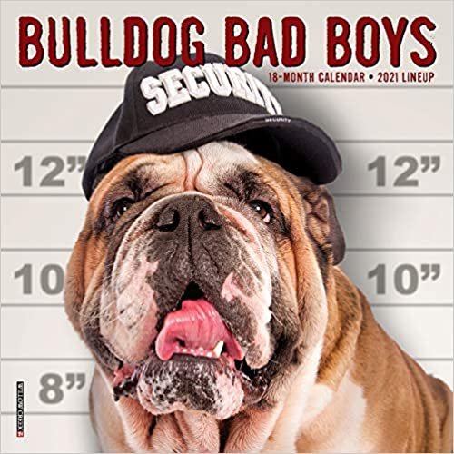 indir Bulldog Bad Boys 2021 Calendar