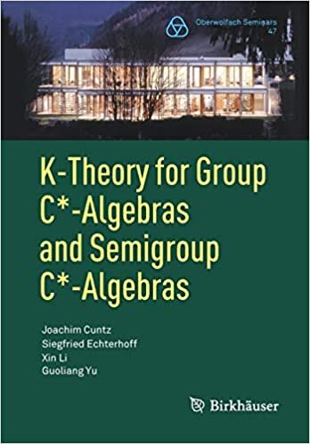 indir K-Theory for Group C*-Algebras and Semigroup C*-Algebras (Oberwolfach Seminars)