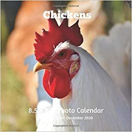Chickens 8.5 X 8.5 Calendar January 2020 -December 2020: Monthly Calendar with U.S./UK/ Canadian/Christian/Jewish/Muslim Holidays-Bird Farm Animals Nature indir