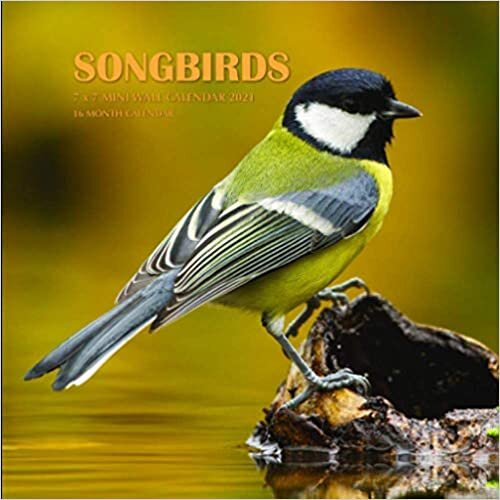 Songbirds 7 x 7 Mini Wall Calendar 2021: 16 Month Calendar indir