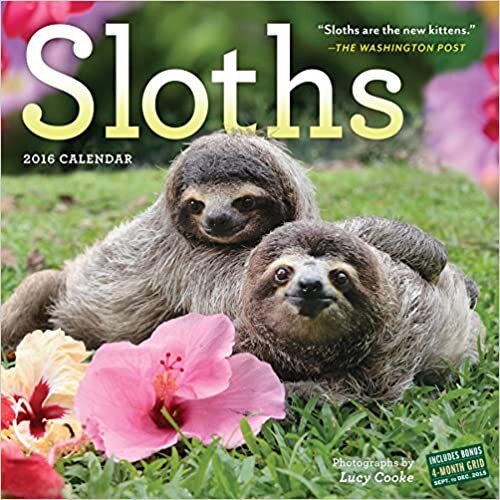 Sloths 2016 Calendar