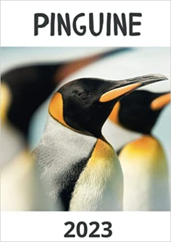 تحميل Pinguine 2023: Kalender / Broschürenkalender / Tischkalender für das Jahr 23 - das perfekte Geschenk für Freunde, Kollegen, zu Weihnachten und Geburtstag