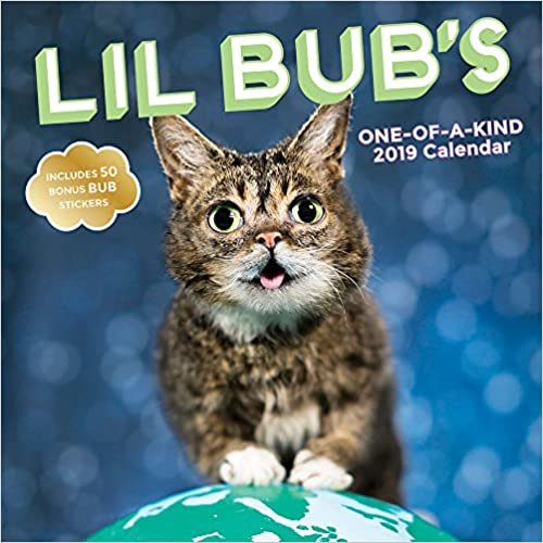 ダウンロード  Lil Bub 2019 Wall Calendar 本