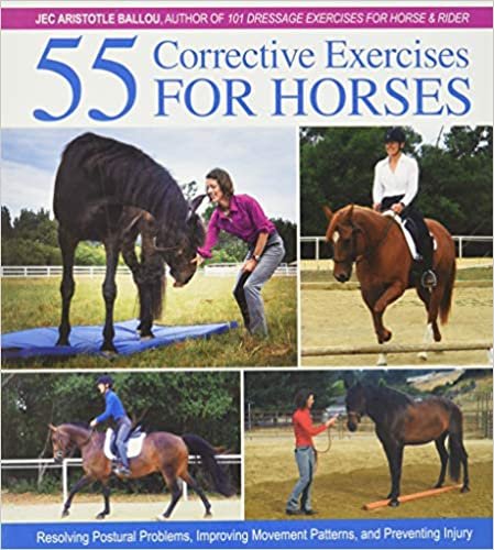 ダウンロード  55 Corrective Exercises for Horses: Resolving Postural Problems, Improving Movement Patterns, and Preventing Injury 本