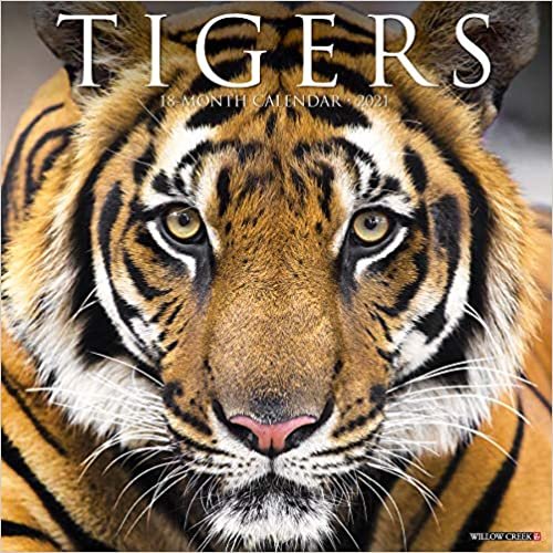 Tigers 2021 Calendar