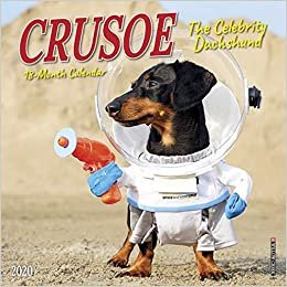 Crusoe the Celebrity Dachshund 2020 Calendar
