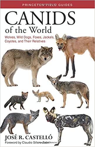ダウンロード  Canids of the World: Wolves, Wild Dogs, Foxes, Jackals, Coyotes, and Their Relatives (Princeton Field Guides) 本