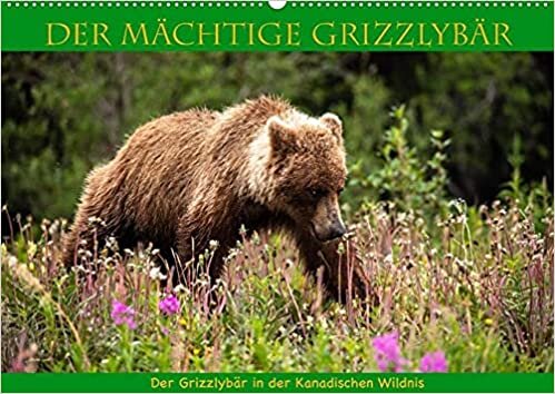 ダウンロード  Der maechtige Gizzlybaer (Wandkalender 2022 DIN A2 quer): Begegnen sie den wilden Grizzlybaeren in der kanadischen Wildnis (Monatskalender, 14 Seiten ) 本