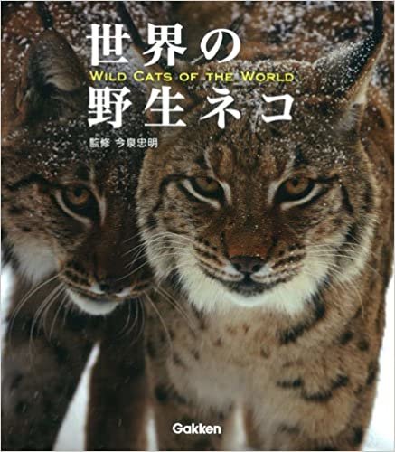 世界の野生ネコ ダウンロード