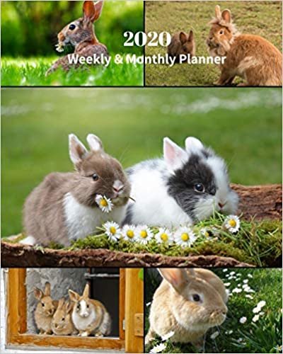 2020 Weekly and Monthly Planner: Rabbits Collage - Monthly Calendar with U.S./UK/ Canadian/Christian/Jewish/Muslim Holidays– Calendar in Review/Notes 8 x 10 in.- Bunny Rabbit Animals indir