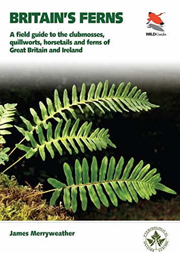 Britain's Ferns: A Field Guide to the Clubmosses, Quillworts, Horsetails and Ferns of Great Britain and Ireland (WILDGuides Book 15) (English Edition)