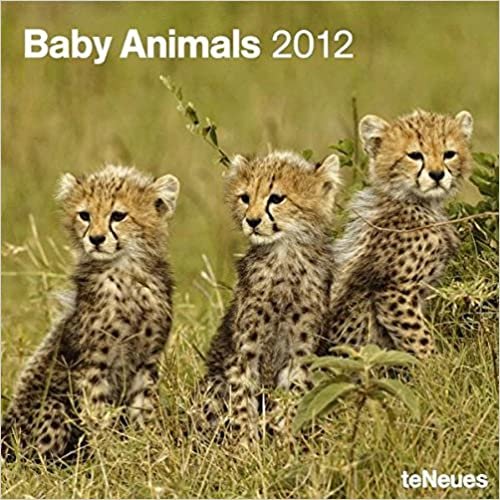 تحميل 2012 Baby Animals Grid Calendar