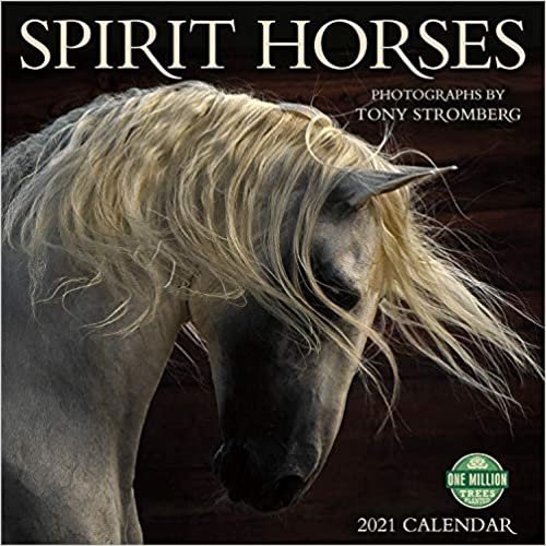 Spirit Horses 2021 Calendar