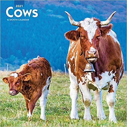 Cows - Kühe 2021 - 16-Monatskalender: Original BrownTrout-Kalender [Mehrsprachig] [Kalender] (Wall-Kalender)