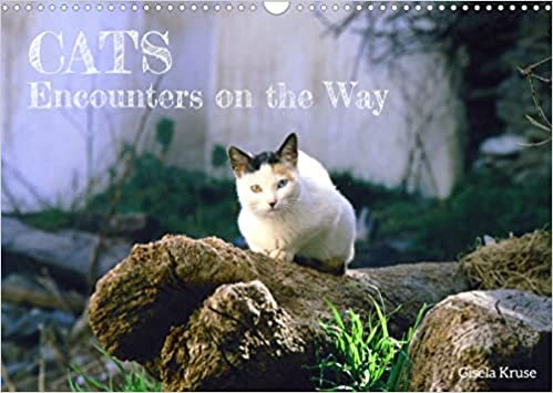 Cats - Encounters on the Way (Wall Calendar 2023 DIN A3 Landscape): In southern Europe cats can be found everywhere (Monthly calendar, 14 pages ) ダウンロード