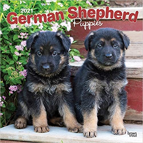 German Shepherd Puppies 2021 Calendar ダウンロード