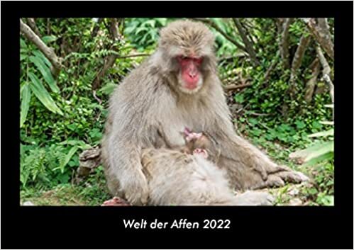ダウンロード  Welt der Affen 2022 Fotokalender DIN A3: Monatskalender mit Bild-Motiven von Haustieren, Bauernhof, wilden Tieren und Raubtieren 本