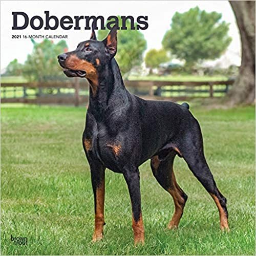 indir Dobermans - Dobermänner 2021 - 16-Monatskalender mit freier DogDays-App: Original BrownTrout-Kalender [Mehrsprachig] [Kalender] (Wall-Kalender)