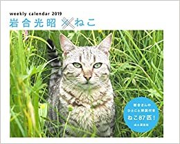 ダウンロード  カレンダー2019 岩合光昭×ねこ (ヤマケイカレンダー2019) 本