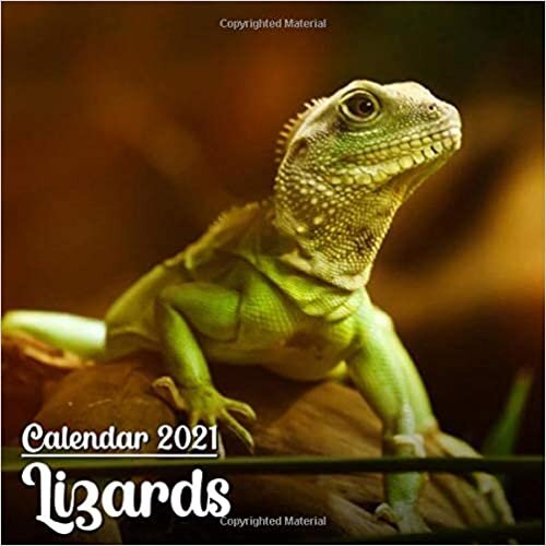 indir Calendar 2021 Lizards: Cute Lizards Photos Monthly Mini Calendar | Small Size