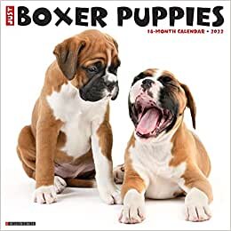 اقرأ Just Boxer Puppies 2022 Wall Calendar (Dog Breed) الكتاب الاليكتروني 