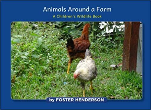 Animals Around a Farm: A Children's Wildlife Story