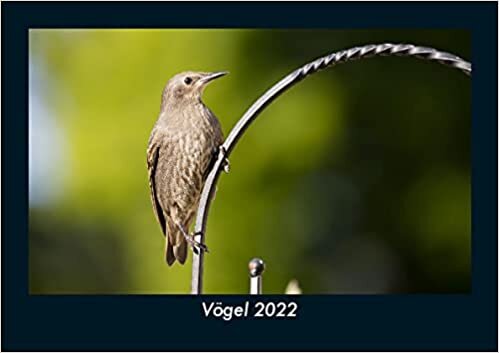 ダウンロード  Voegel 2022 Fotokalender DIN A5: Monatskalender mit Bild-Motiven von Haustieren, Bauernhof, wilden Tieren und Raubtieren 本