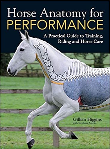ダウンロード  Horse Anatomy for Performance 本