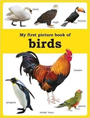 Wonder House Books My first picture book of Birds تكوين تحميل مجانا Wonder House Books تكوين